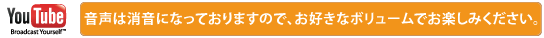 テレビで放送されました